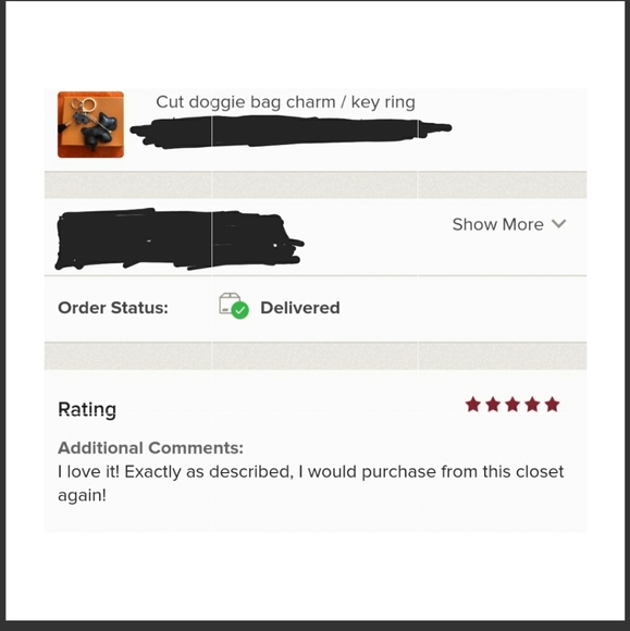 Cute doggie/ Teddy bag charm / key ring - Picture 5 of 9